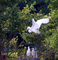 Nature Sights in Boykin