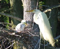 Nature Sights in Boykin