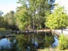 The Mill Pond Steakhouse